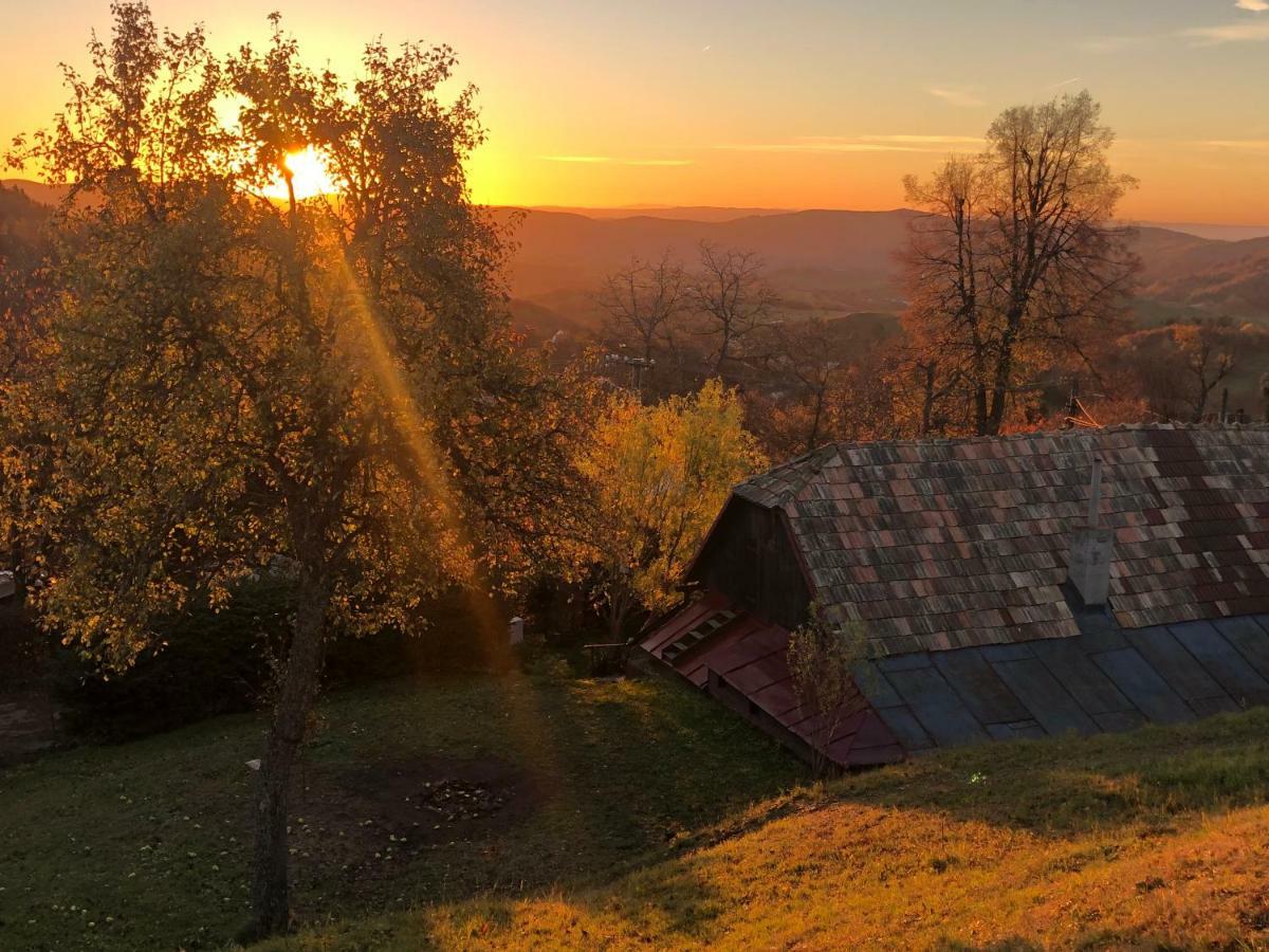 Libling Ruzovy Guest House Banská Štiavnica Екстериор снимка